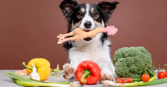 Bell peppers have various dog health benefits