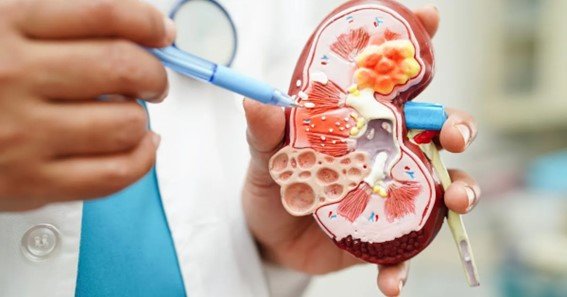 what is bun creatinine ratio